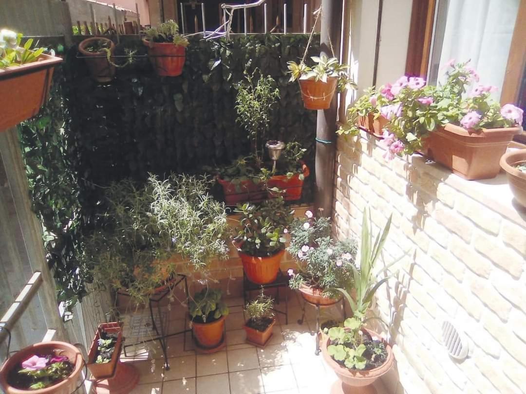 Casa Elisa Sottomarina Di Chioggia Lägenhet Exteriör bild